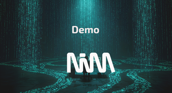 What we are showing you (and why we cannot show everything)